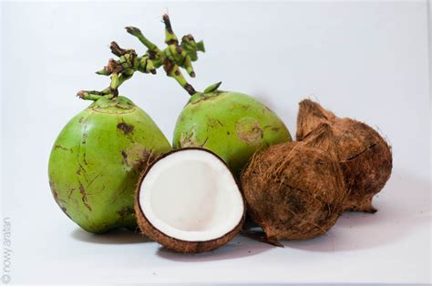 Buko vs Niyog .